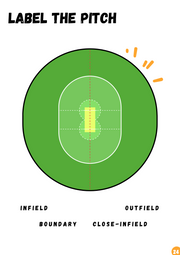 Cricket Colourin' Activity Book